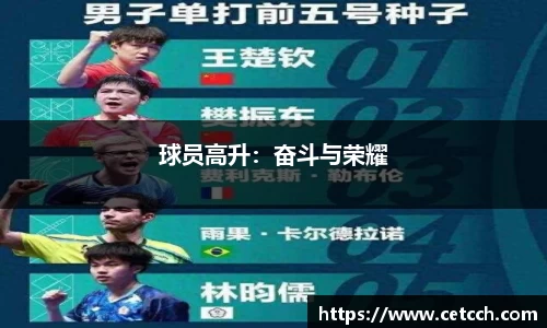 德信体育